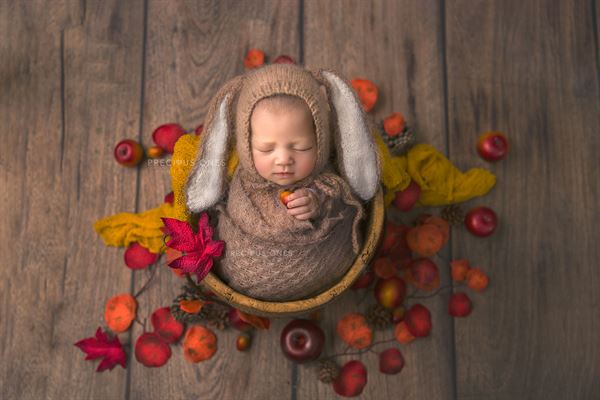 Precious Ones Photography