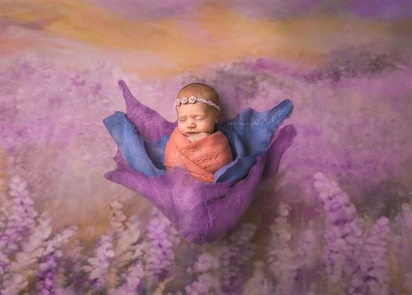 Precious Ones Photography