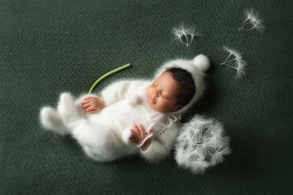 Annie Whitaker Photography