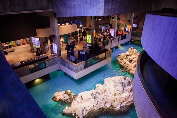 New England Aquarium