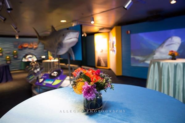 New England Aquarium