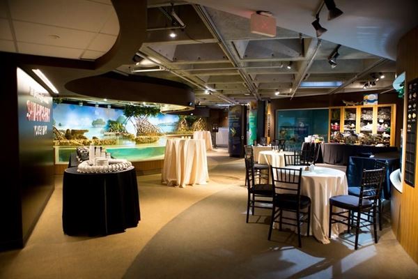 New England Aquarium