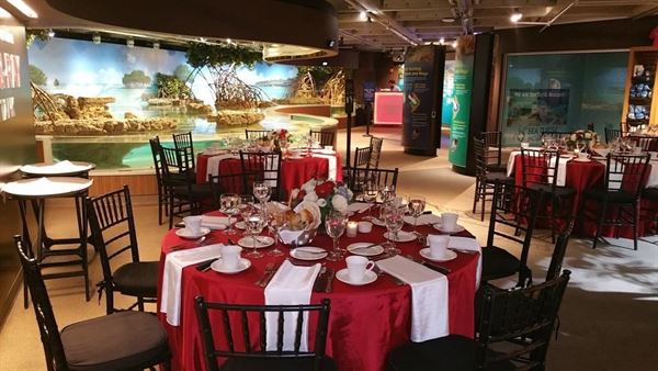 New England Aquarium