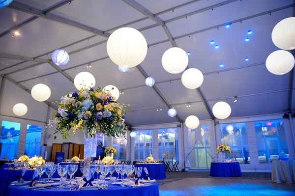 New England Aquarium