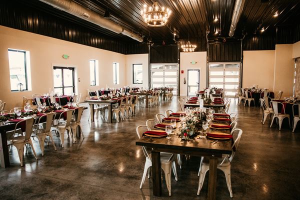 Bella Terra Vineyards