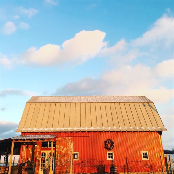 Vineyard at Porter Central