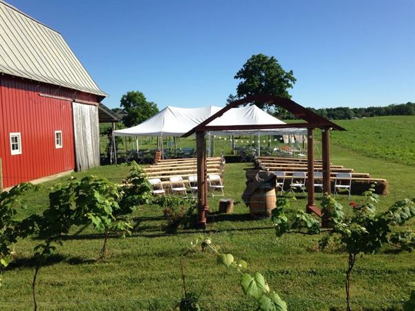 Vineyard at Porter Central