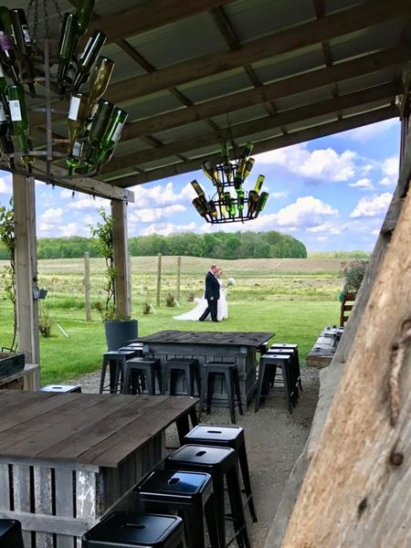 Vineyard at Porter Central