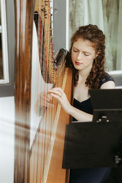 Hummingbird Harmonies