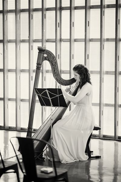 Hummingbird Harmonies