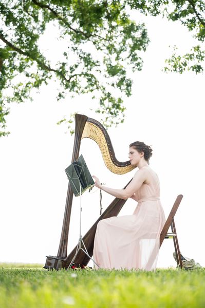 Hummingbird Harmonies