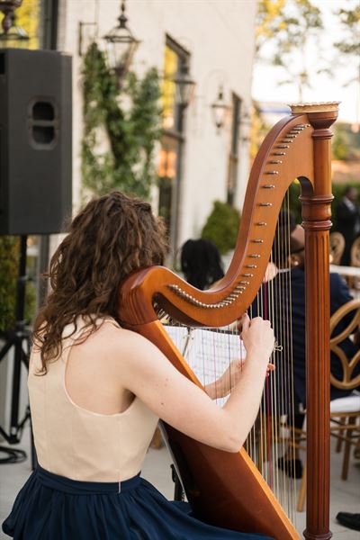 Hummingbird Harmonies