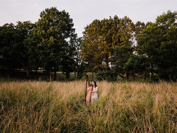 Hummingbird Harmonies