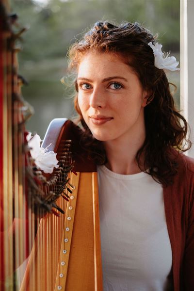 Hummingbird Harmonies