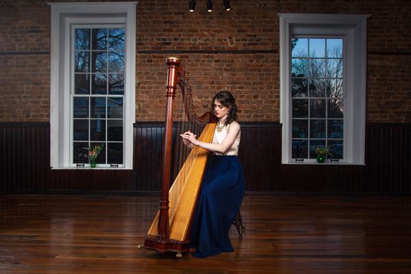 Hummingbird Harmonies