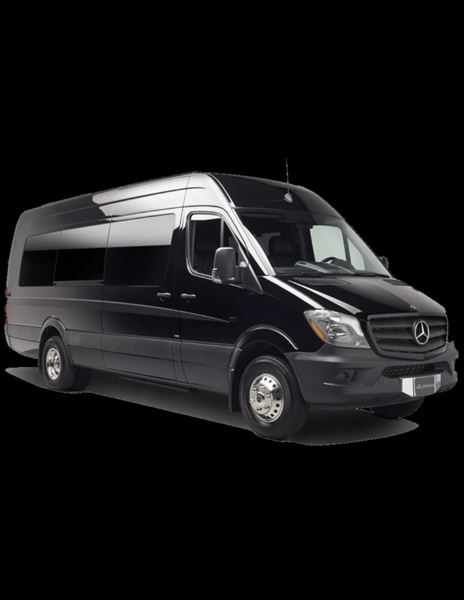 Celebrate Party Limo