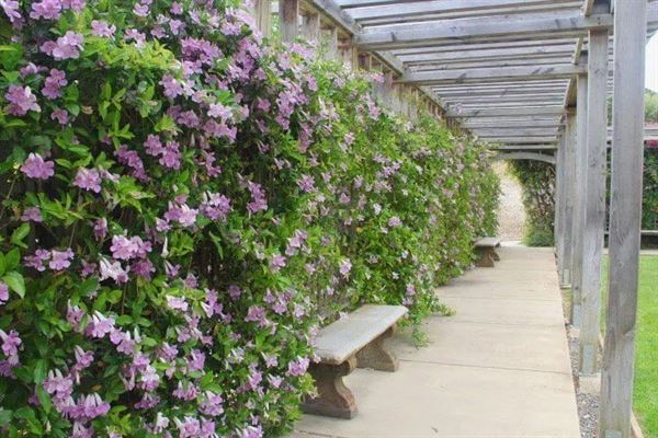 Museum of History Benicia