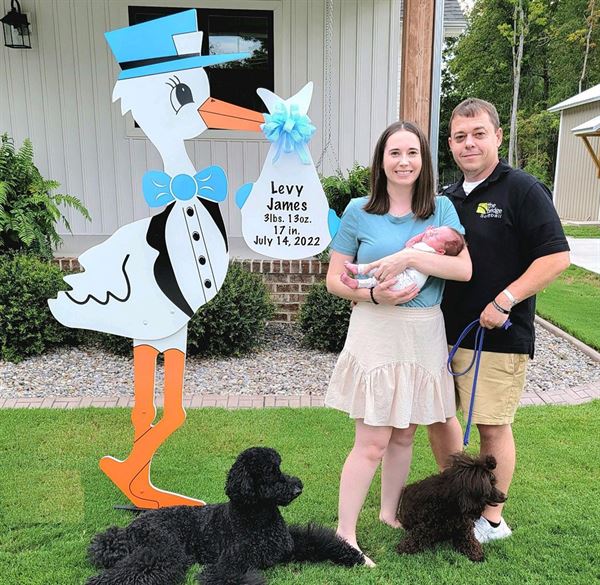 Storks and More of Lincoln