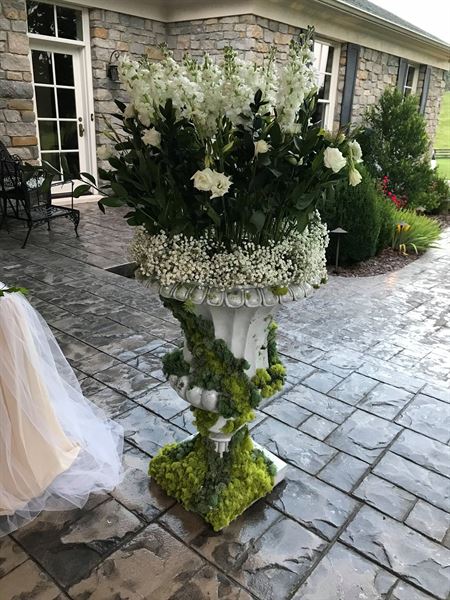 The Tucker Homestead and Log Cabin