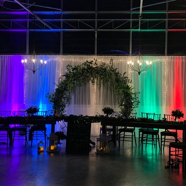 Mad Tunes Entertainment