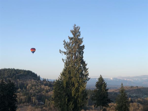 The View Weddings & Events