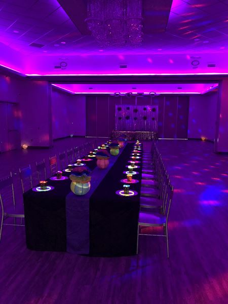 Festivity -  Freedom Farms