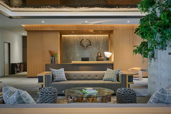 The Loren at Lady Bird Lake