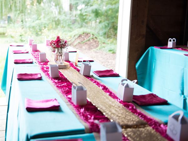 The Shirley-Eustis House