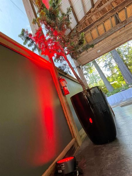 Musical Genius Productions