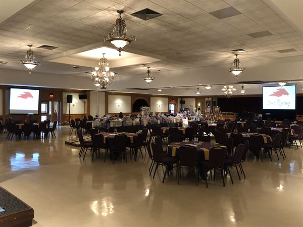 Night at the Races Star - Cleveland