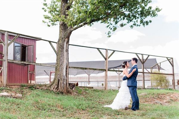 Stillwater Spring Farm