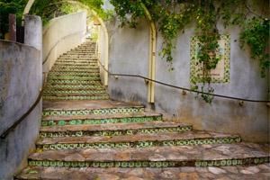 Josiah Davidson Photography