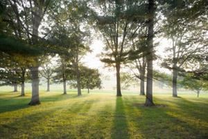 Josiah Davidson Photography