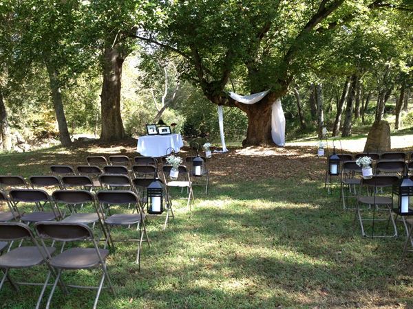 Tilley Mill Events
