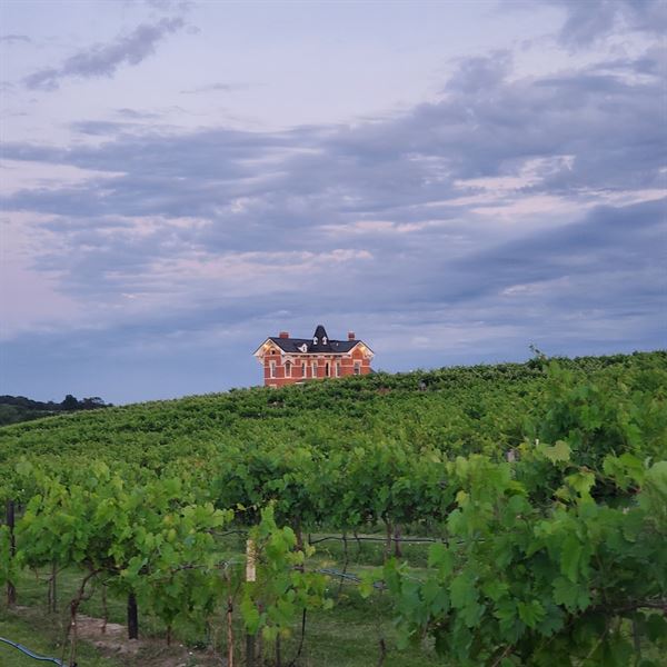 Buchanan House Winery