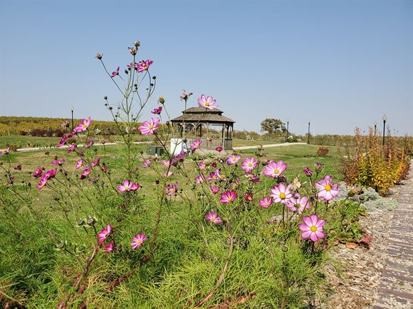 Buchanan House Winery