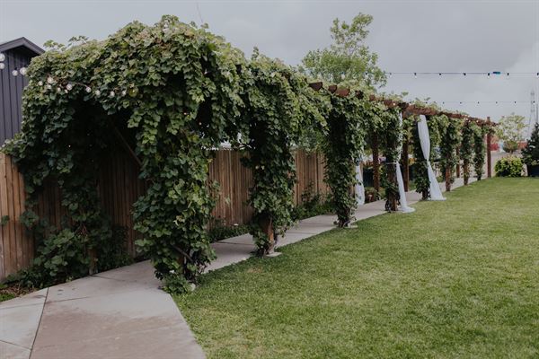 Balistreri Vineyards