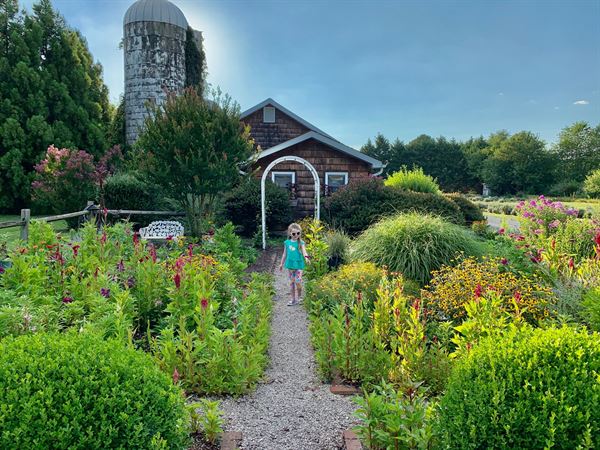 Lavender Fields at Warrington Manor