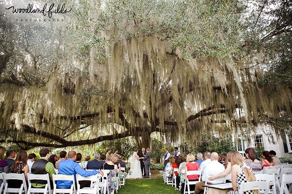 Pebble Hill Plantation