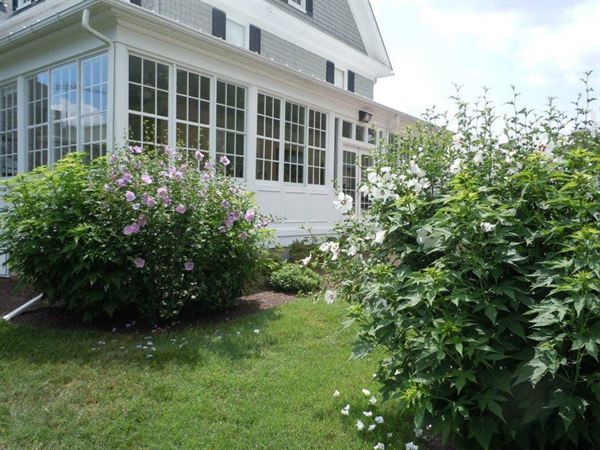 The Kings Contrivance