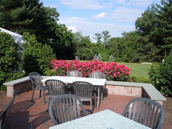 The Kings Contrivance