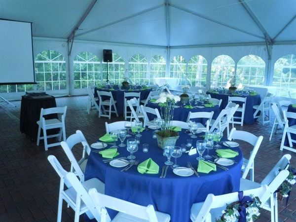 The Kings Contrivance