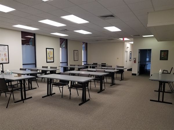 Academy for Five Element Acupuncture