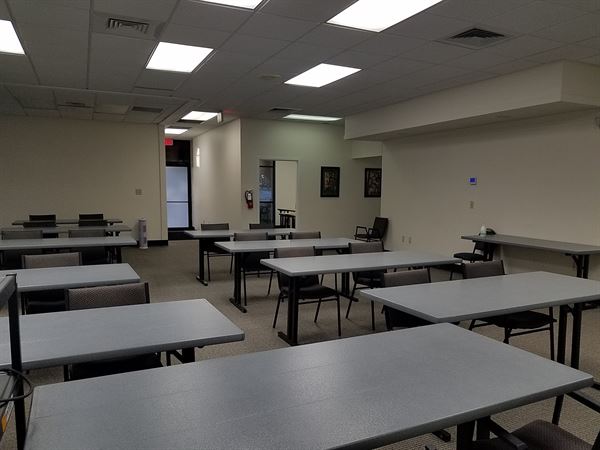 Academy for Five Element Acupuncture