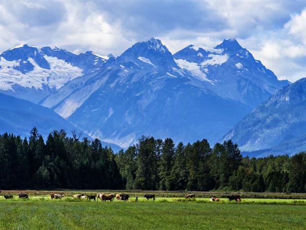 Pemberton Valley Farms