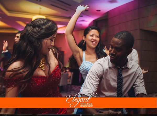 Elegant Dreams, Entertainment