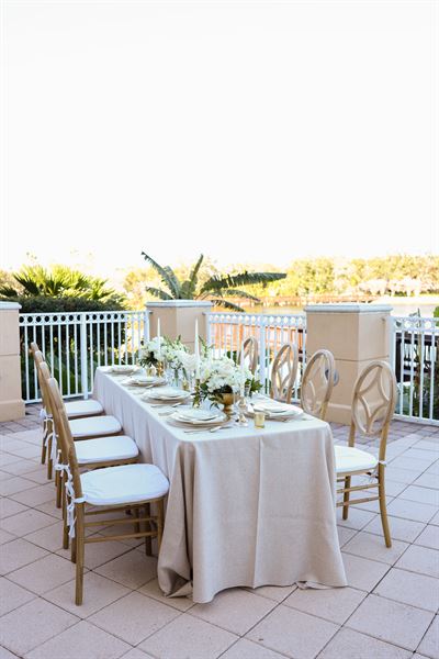 Hilton St. Petersburg Carillon Park