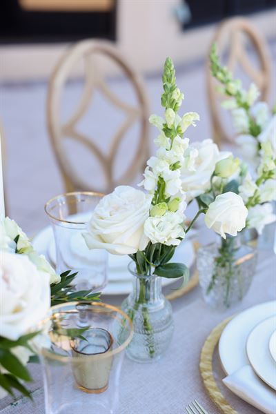 Hilton St. Petersburg Carillon Park