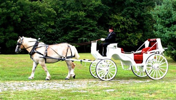 Creekwalk Inn At Whisperwood Farm