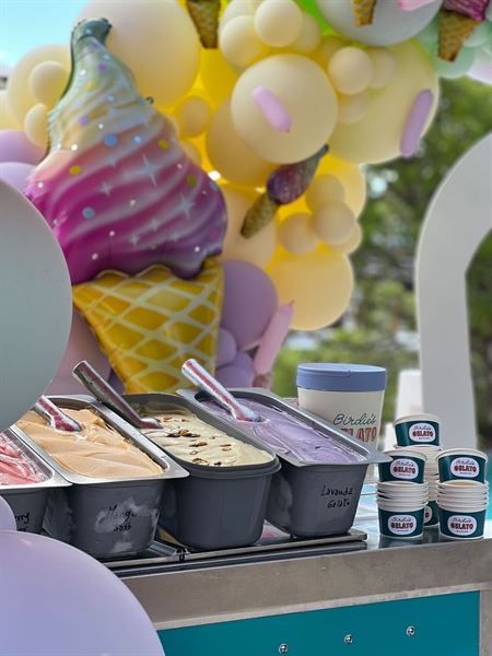 Birdie's Gelato